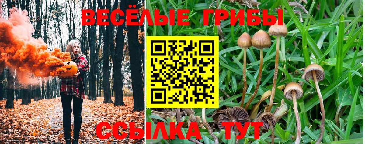 что такое наркотик  Вход с VPN  Добрянка  Галлюциногенные грибы GOLDEN TEACHER 