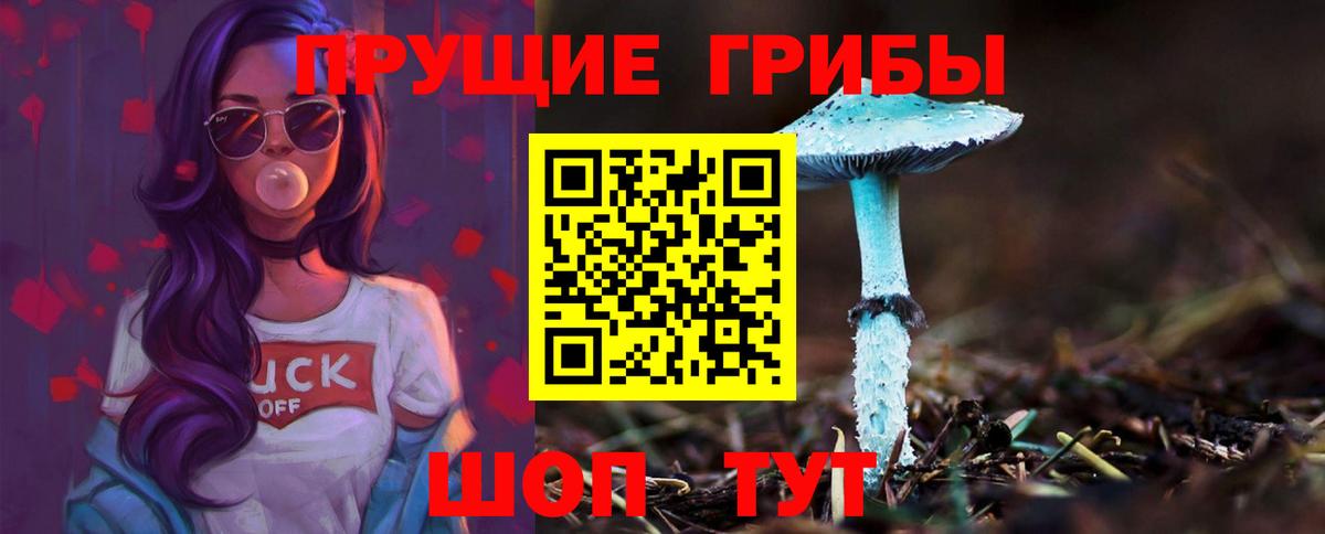 Псилоцибиновые грибы Psilocybine cubensis Добрянка